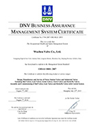 DNV ISO 18001-2007